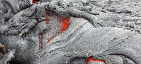 Mauris at urna quam.